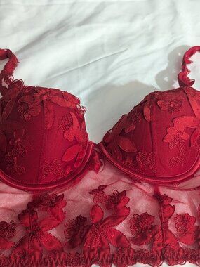 Victoria Secret 32D Red Embroidered Push-up Bra Corset New Without Tags